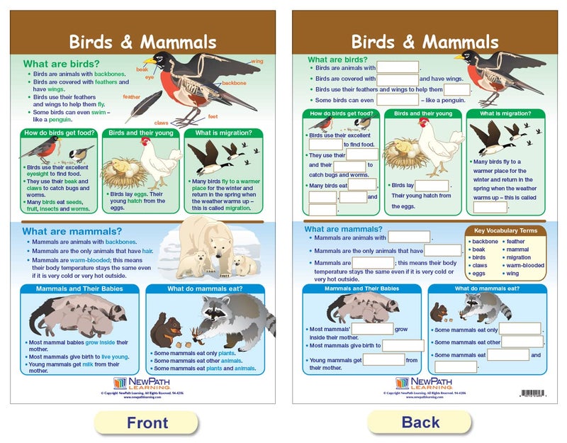 New Path Learning NewPath Learning-94-1501 All About Animals Bulletin Board Chart Set (Pack of 5) - Image 3